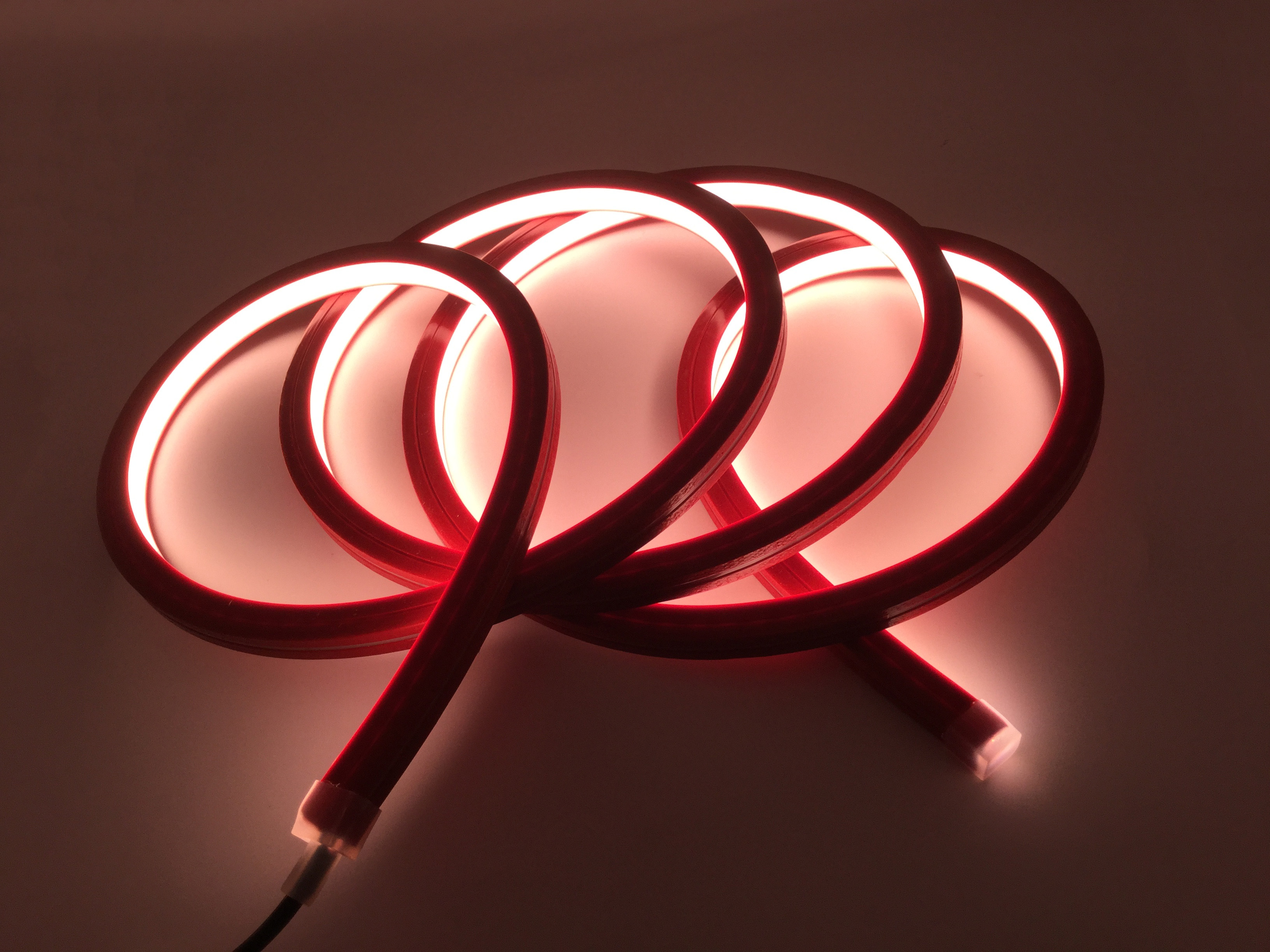 12*12mm LED霓虹灯带