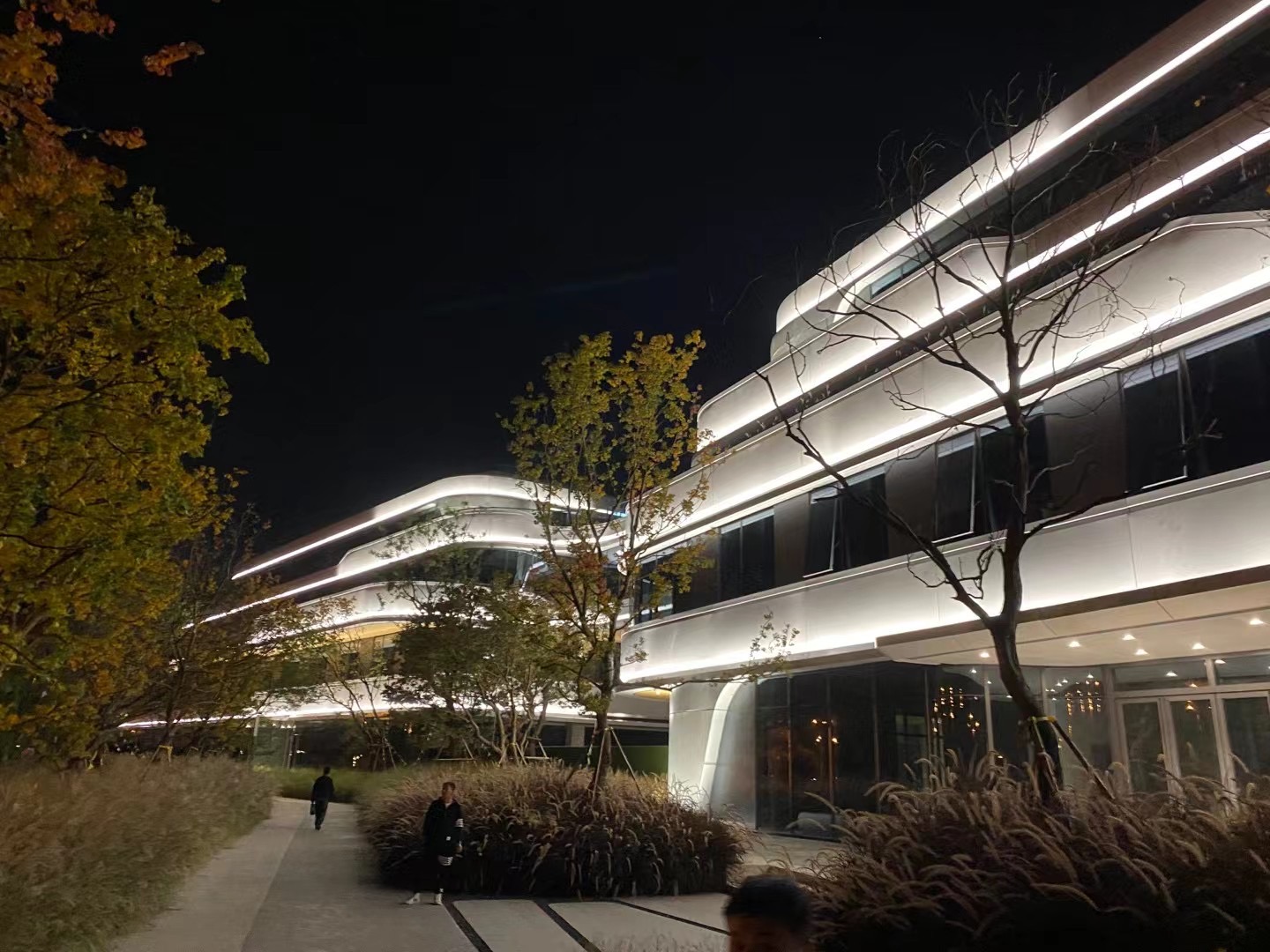 成功案例七(图1)