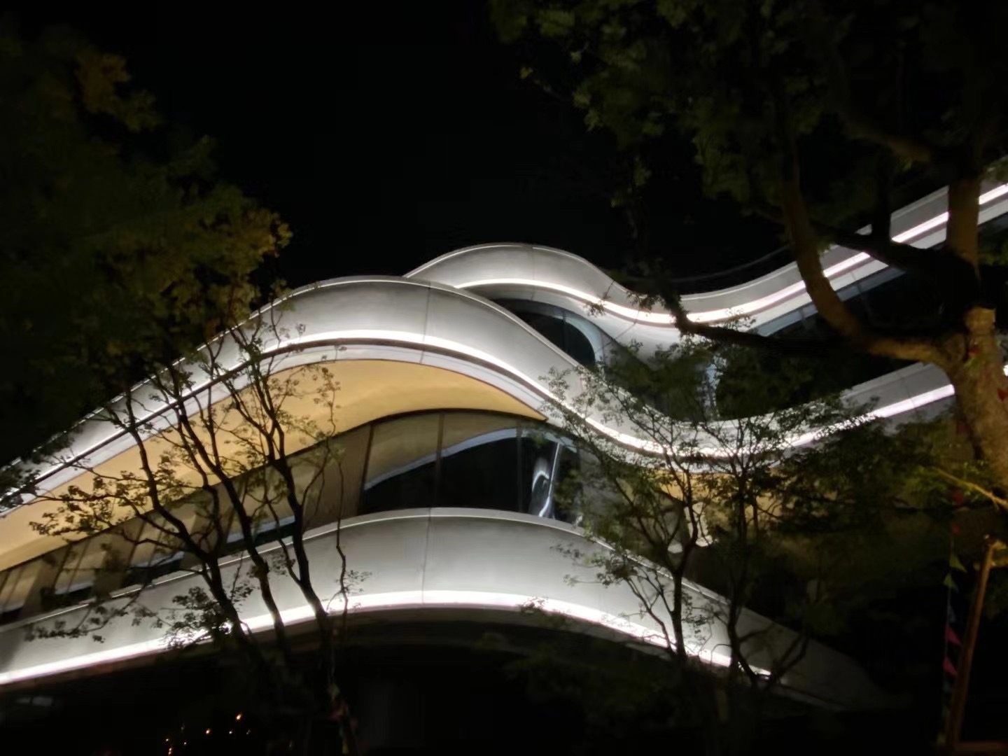 成功案例七(图3)