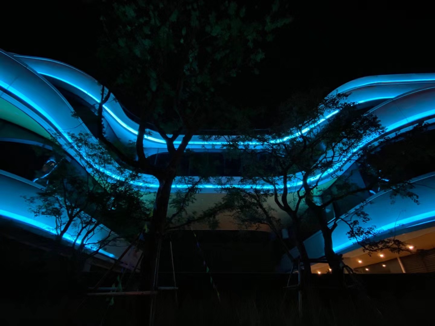 成功案例七(图6)