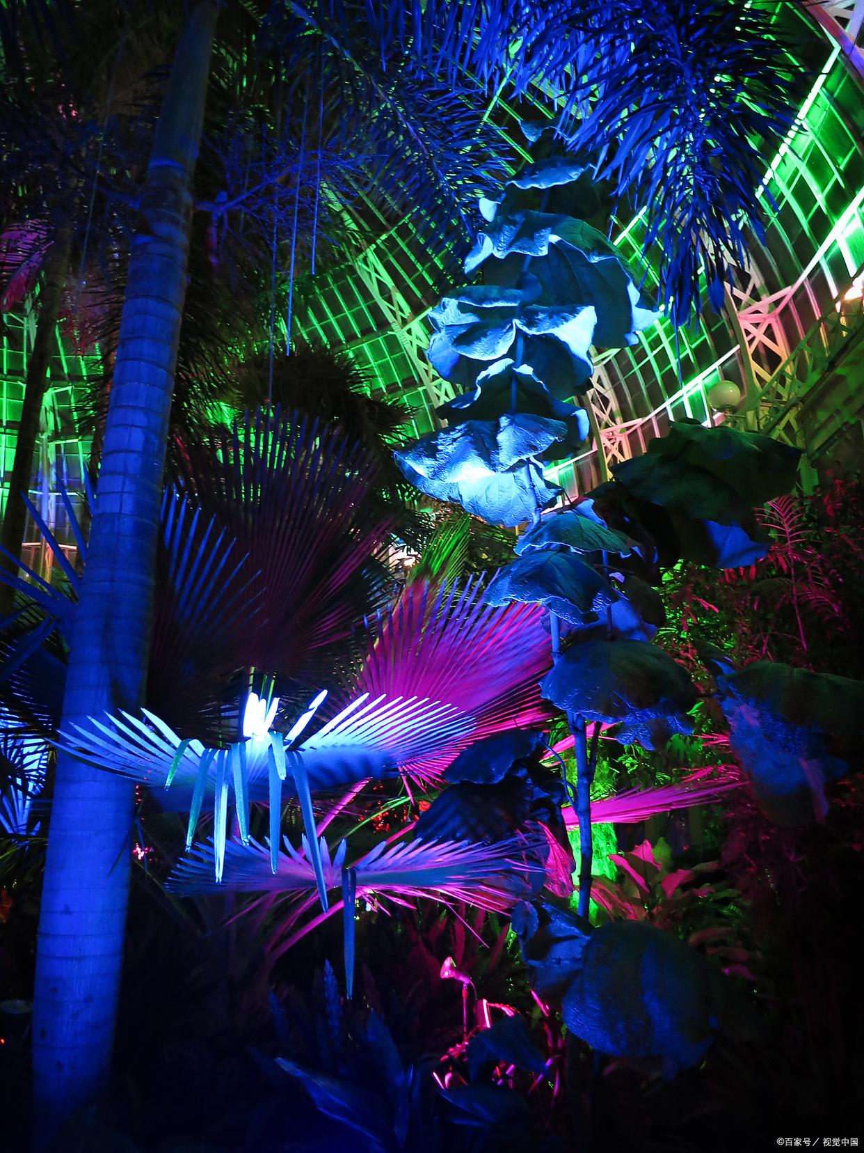 金博安JBOAN低压12W幻彩霓虹灯带：以一体挤出工艺与低维护成本，点亮光线主题公园的互动魔法(图3)