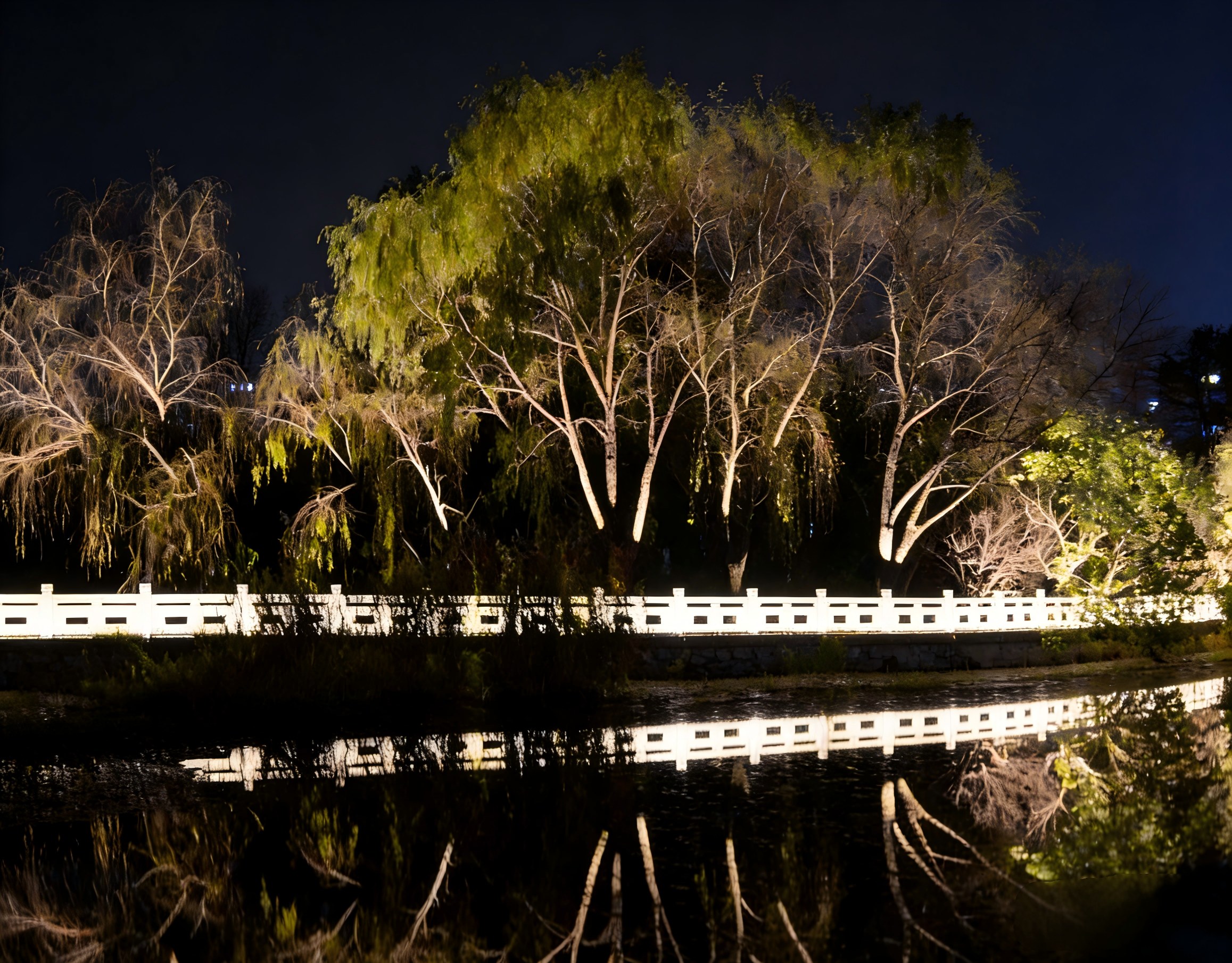 暖光映水岸，夜醉夏都东湖｜JBOAN金博安点亮河岸诗意夜景(图5)